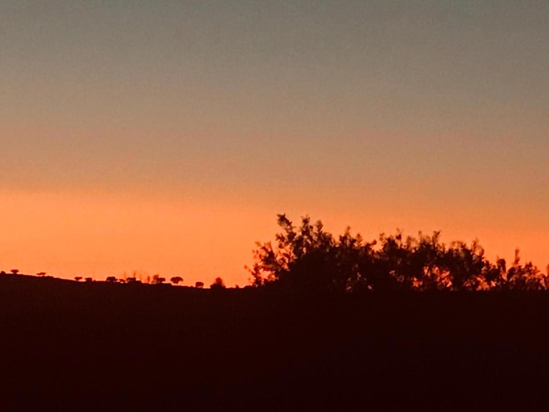 Por-Do-Sol Villa São Pedro do Corval Buitenkant foto